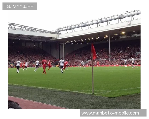 韩日世界杯的辉煌岁月与天下足球的激情碰撞之旅